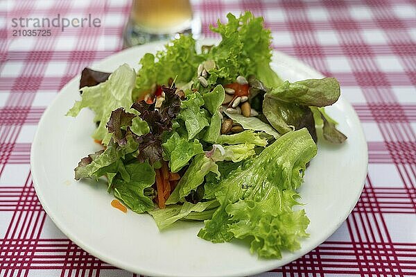 Fresh green salad plate  Franconia  Bavaria  Germany  Europe