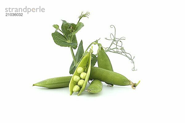 Fresh sweet peas pods with green leaves isolated on a white background  garden peas or English peas picked before full maturity