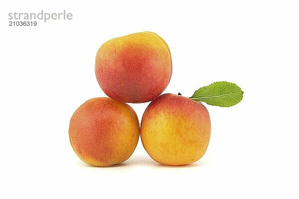 Whole apricot fruits with leaf isolated on white background