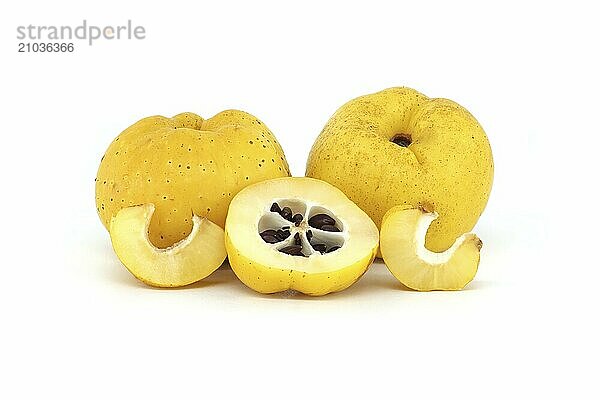 Vibrant quince fruits  both sliced and whole isolated on white background  full depth of field  Chaenomeles japonica or Japanese quince