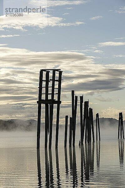 Wood pilings in the Pend Oreille RIver in October in Cusick  Washington