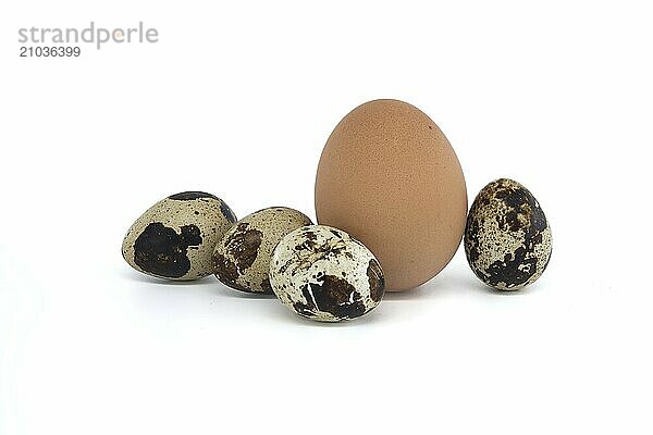 Larger brown egg and smaller quail eggs isolated on white background