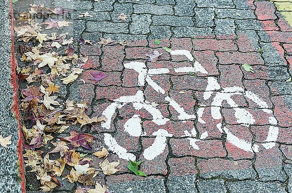 Cycling in São Francisco de Paula  Brazil  great concept of sustainable locomotion  South America