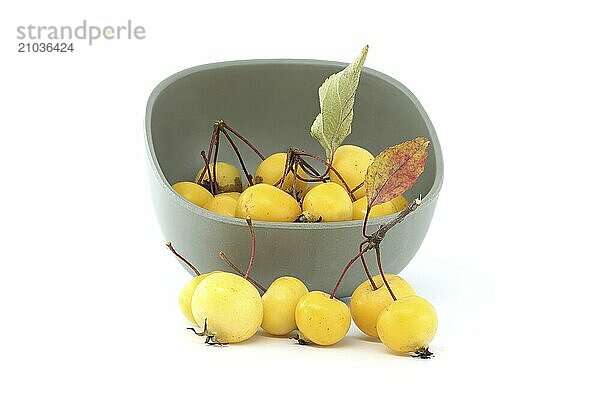 Crab apple or European wild apple isolated on white background. Wild apples are at risk of extinction