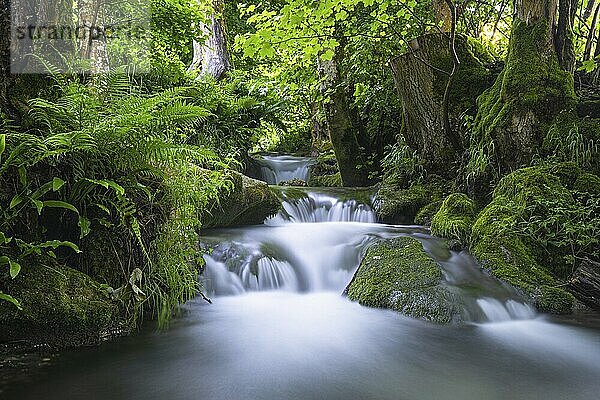 At the Brühlbach stream near Bad Urach