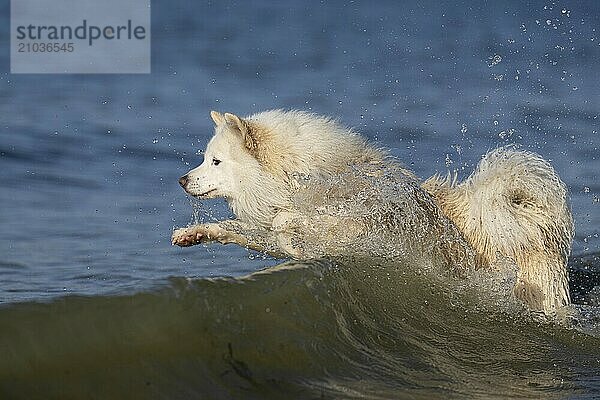 Fighting the waves