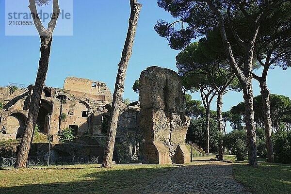 Ruins on Monte Palation  Palatine Hill  Rome  Italy  Europe