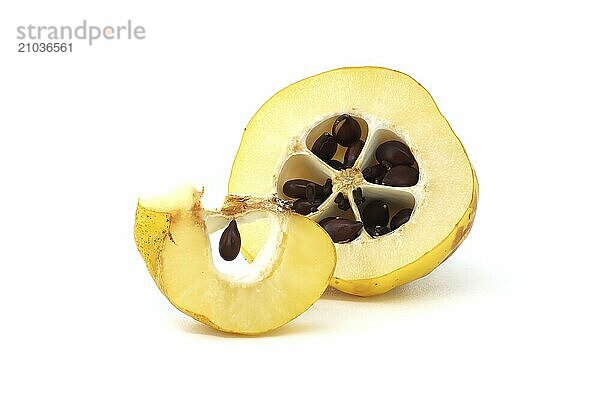 Yellow quince fruits whole and some cut in half to expose their seeds isolated on white background  full depth of field  Chaenomeles japonica or Japanese quince