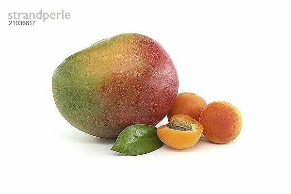 Multicolored ripe mango fruit  whole and halved ripe apricot fruits isolated on white background. Vitamins juicy fruits