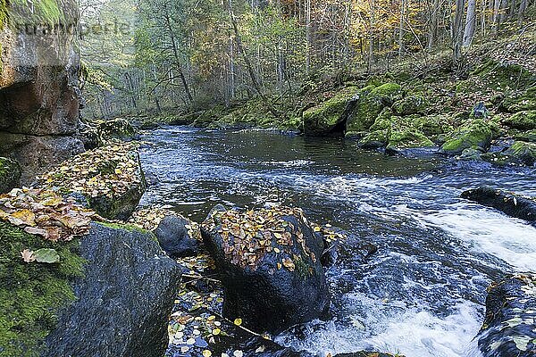 Fluss Ilz im Bayerischen Wald  Fluss Ilz im Bayerischen Wald