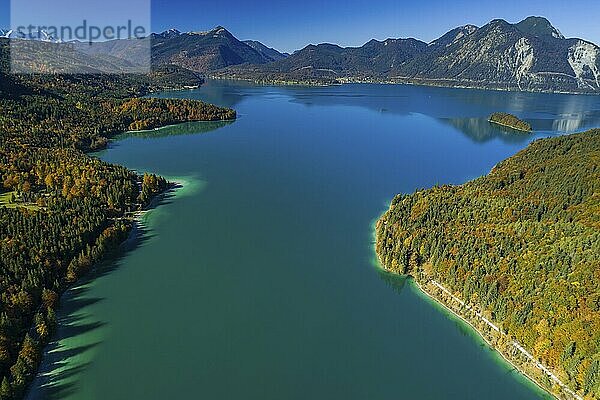 Aerial view of a mountain lake and autumnal coloured trees in the morning light  Walchensee  view of Simetsberg  Heimgarten  Herzogstand  Upper Bavaria  Bavaria  Germany  Europe