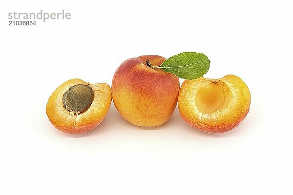 Fresh whole apricot fruit with leaf and halved apricot isolated on white background