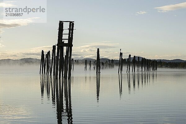 Wood pilings in the Pend Oreille RIver in October in Cusick  Washington