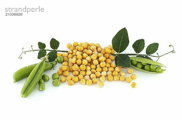 Yellow dried peas surrounded by a green leaf  fresh green peas and pea pods isolated on white background  healthy  plant based diet