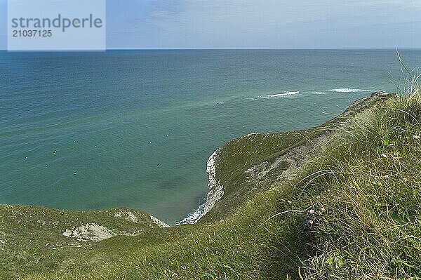 The Bulbjerg bird cliff in Denmark on the North Sea coast