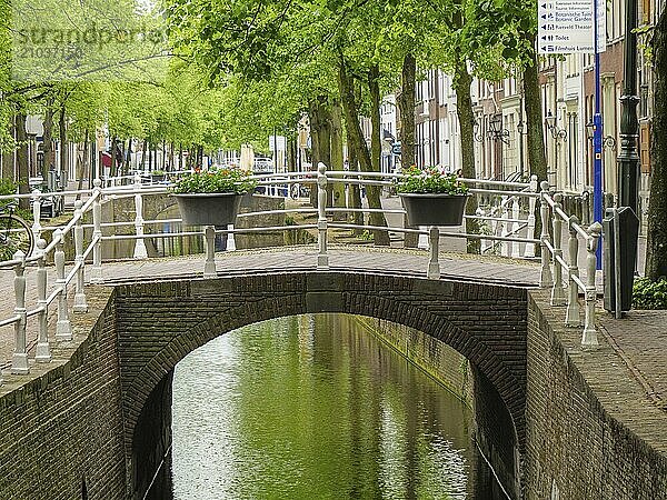 An idyllic bridge over a canal with green trees and well-tended plant pots  Delft  Netherlands