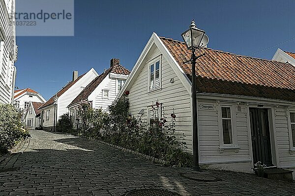 Typical houses and cobblestone street in Stavanger  Norway  Europe