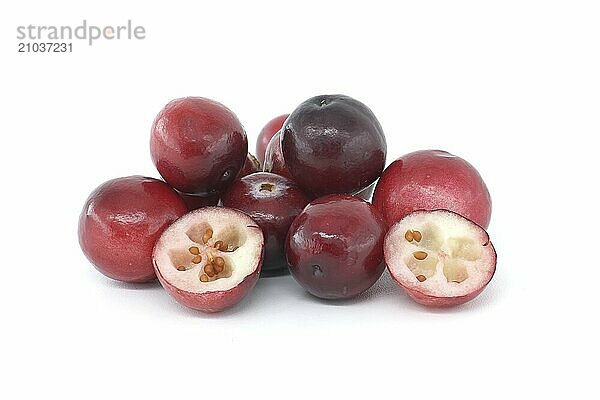 Assortment of red cranberries  each one appearing ripe  fresh and ready to eat against a white background