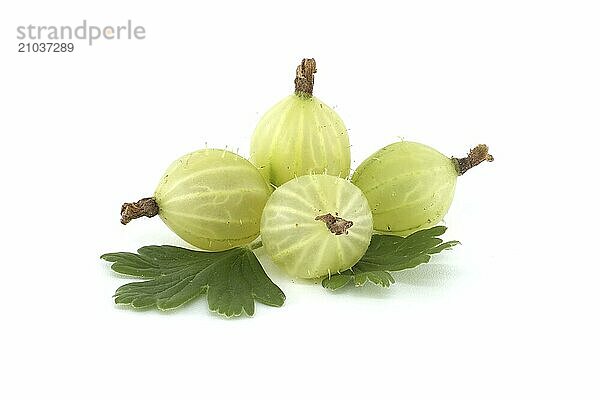 Gooseberry isolated on white background. Heap of fresh ripe gooseberries