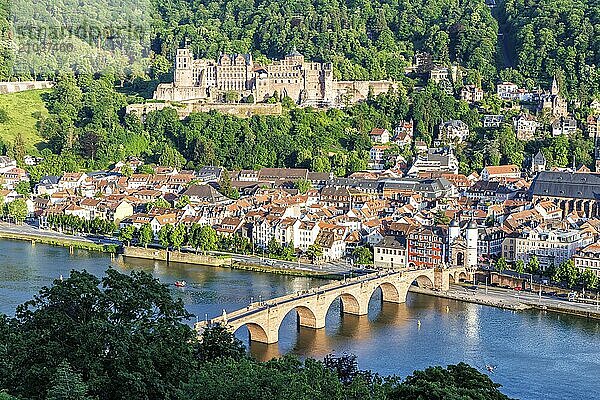 View of the Neckar River Castle and Old Bridge in Heidelberg  Germany  Europe