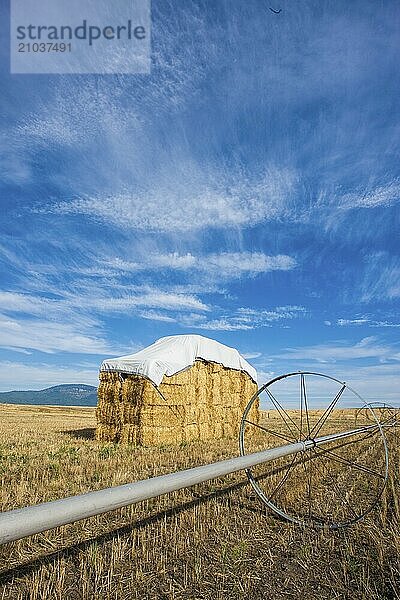 A large haystack in the Rathdrum Prairie under a rich partly cloudy blue sky in North Idaho