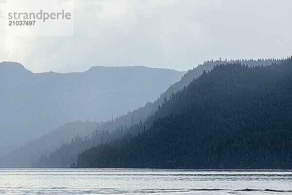 Silhouette of temperate rainforest of the Johnstone Strait in British Columbia  Canada  North America