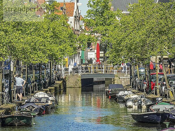 Lively city canal with parked boats and a bridge under bright sunshine  alkmaar  the netherlands