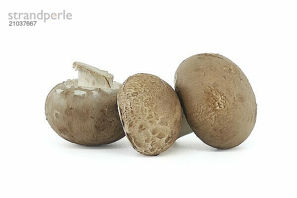 Fresh Baby Bella or Cremini whole mushrooms isolated on white background