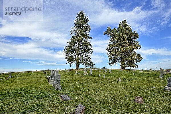 Two tall pine trees stand as sentries over the cemetery near Moscow  Idaho