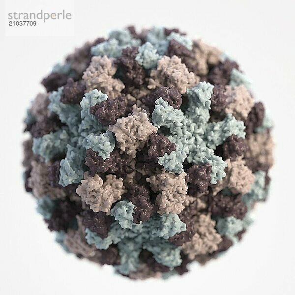 A 3D graphical representation of a single Norovirus virion  set against a white background. Though subtle  the different colors represent different regions of the organism?s outer protein shell  or capsid