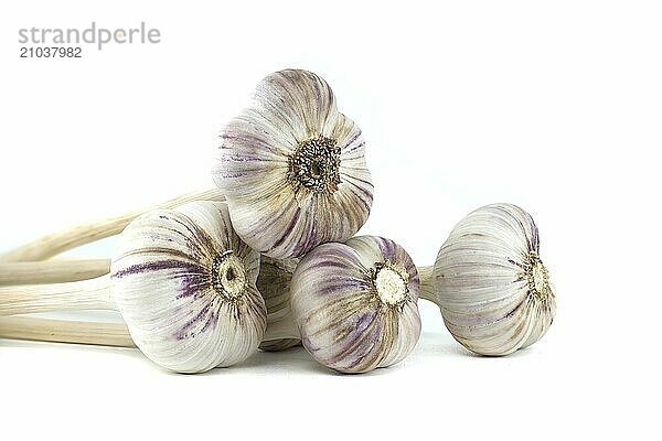 Garlic bulbs in close-up isolated on white background