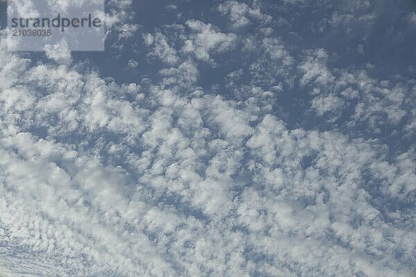 Cumulus white clouds in a blue sky  England  United Kingdom  Europe