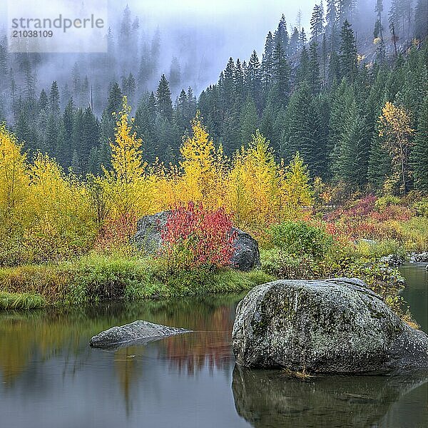 A calm section of the Wenatchee Rover in Autumn near Leavenworth  Washington