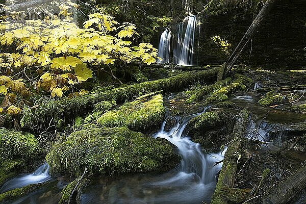 Water cascading down the rocks coming from Fern Falls in north Idaho in autumn