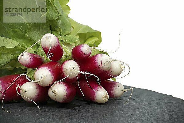 Fresh radish with leaves on black slate serving plate over white background. European radishes (Raphanus sativus)