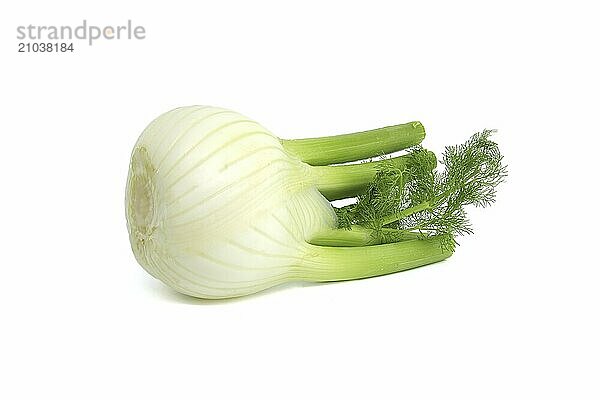 Whole fennel bulb predominantly light yellow  with contrasting shades of green on the stalks and feathery leaves isolated on white background