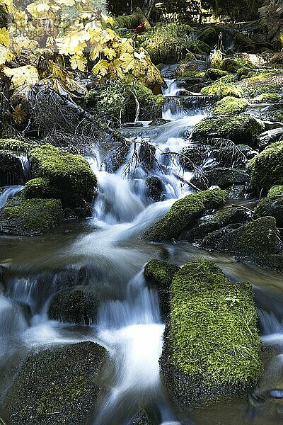 Water from a stream cascades over the rocks in autumn in north Idaho