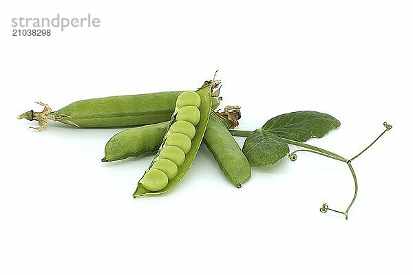 Open pea pod and round green peas inside  green leaf with a pointed tip and pea pods in close up isolated on white background