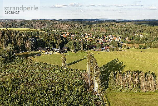 Tanne  holiday resort in the Upper Harz  Harz National Park  Tanne  Saxony-Anhalt  Germany  Europe