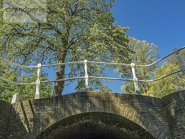 Bottom view of a stone bridge  surrounded by green trees and blue sky  alkmaar  the netherlands