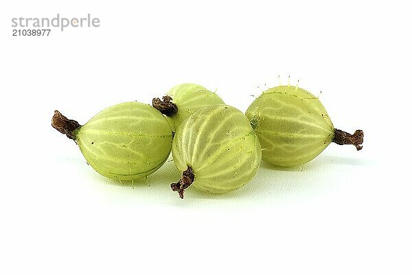 Gooseberry isolated on white background. Heap of fresh ripe gooseberries