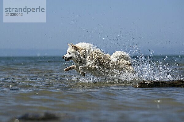 Bathing fun on Lake Constance