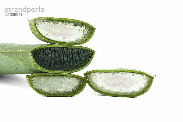 Aloe vera leaf slices isolated on white background  natural organic cosmetic ingredients for sensitive skin  alternative medicine