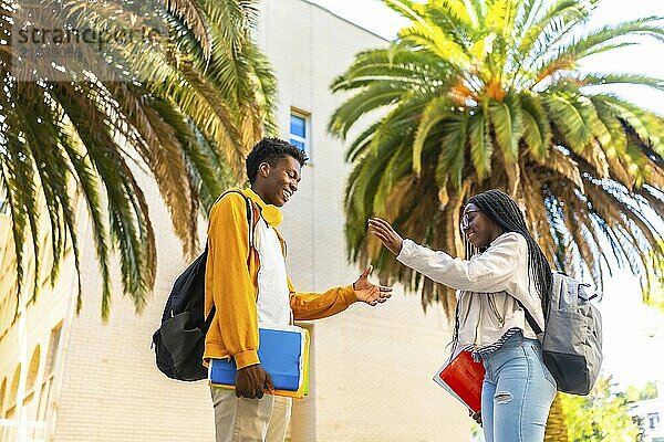 African american university colleagues high fiving in the campus next to tropical palm trees