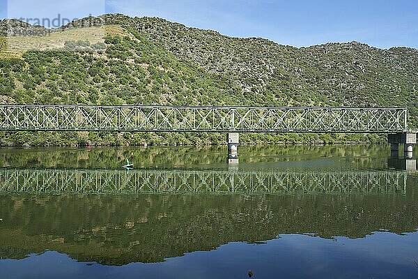 Railway bridge in Douro region in Ferradosa  Portugal  Europe