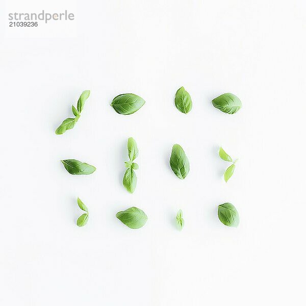 Flat lay with green basil and mint leaves on white background. Healthy eating and cosmetics concept.