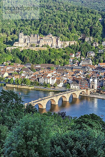 View of the Neckar River Castle and Old Bridge in Heidelberg  Germany  Europe