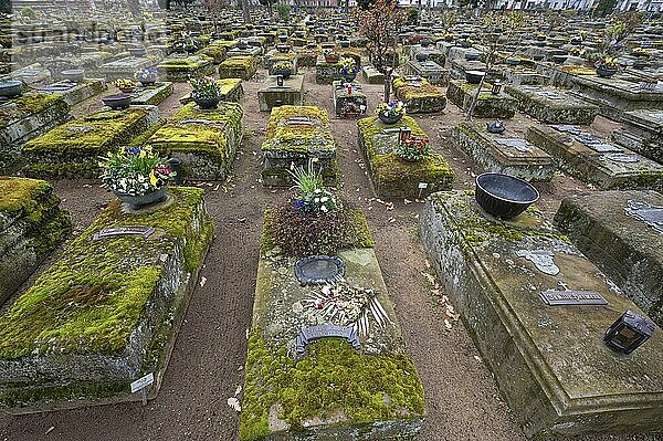 Graves at the historic Rochus Cemetery  Beim Rochuskirchhof  Nuremberg  Middle Franconia  Bavaria  Germany  Europe