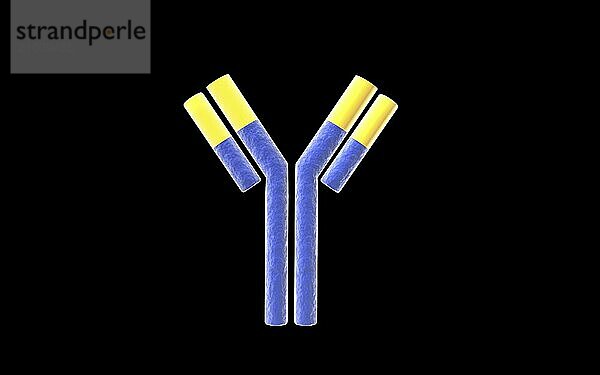 Conceptual image of an antibody