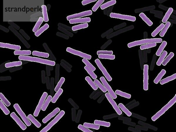 Microscopic x-ray view of Clostridium perfringens bacteria